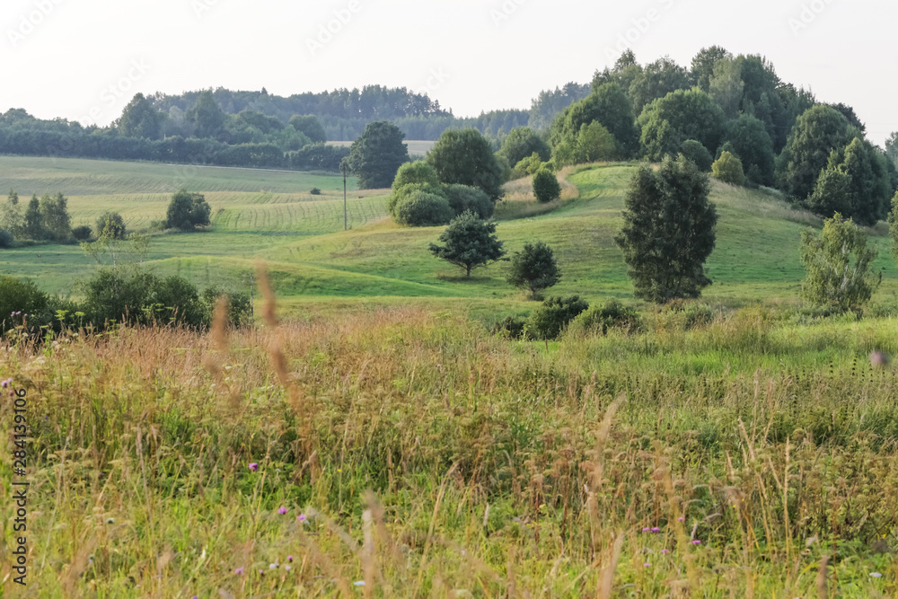 Nature landscape of wild fields in Lithuania during summer time on sunny weather Nature landscape of wild fields in Lithuania during summer time on sunny weather