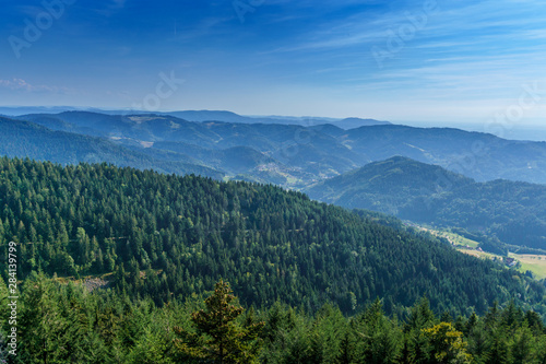 Schwarzwald © Gergely