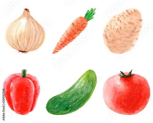 Fototapeta Naklejka Na Ścianę i Meble -  Hand painted watercolor Onion, carrot, potato, cucumber, pepper, tomato.