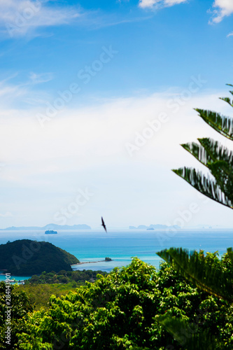 tropical beach with palm trees and seagull