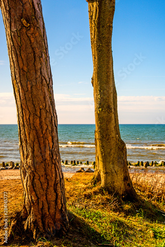 Fototapeta Naklejka Na Ścianę i Meble -  Baltic Sea in Poland with pines and dunes