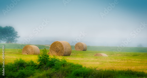 Hay Stacks on Elbe River in Saxony