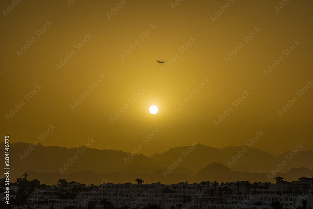 Sharm El Sheikh, Egypt - May, 2019: Beautiful beach with palm trees at sunset