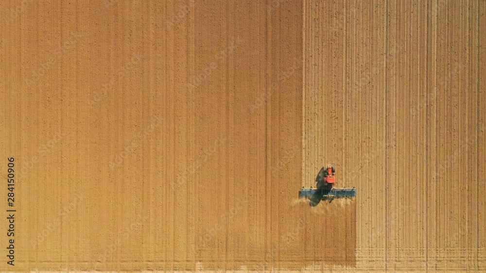 Aerial view of canola field and tracks from tractor. Beautiful agricultural texture or background of summer agriculture landscape. canola farm from above Aerial view of canola field and tracks from tractor. Beautiful agricultural texture or background of summer agriculture landscape. canola farm from above