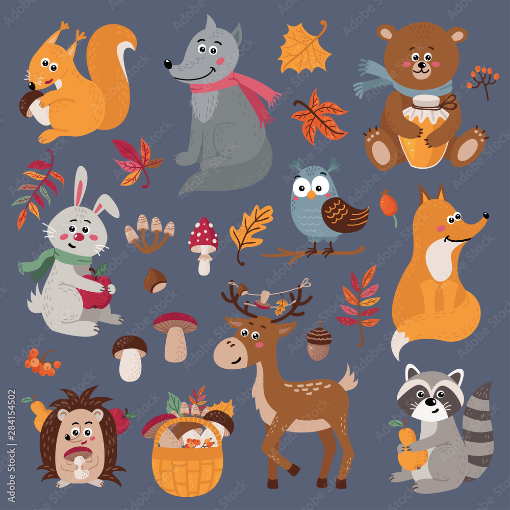 Set of cute forest animals in cartoon style Set of cute forest animals in cartoon style