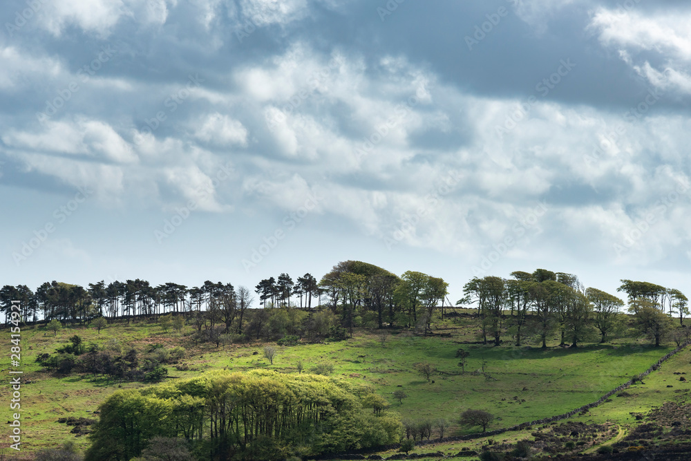 Lovely Spring landscape image of view from Haytor in Dartmoor National Park in Devon England on lovely sunny Spring day
