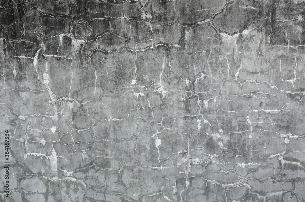 Fototapeta premium mildewed wall background