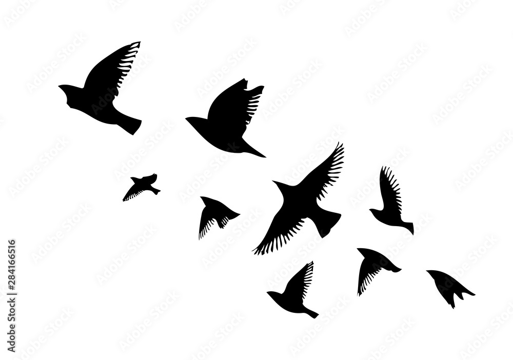 Obraz premium A flock of flying birds. Vector illustration