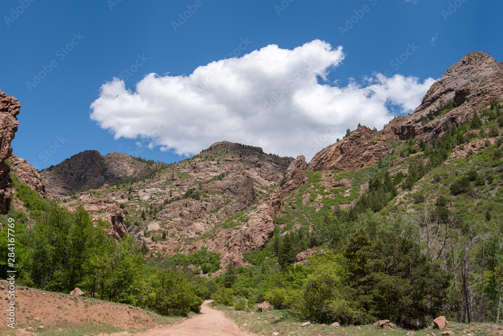 Low angle landscape of trees and mountains on the Shelf Road near Cripple Creek, Colorado