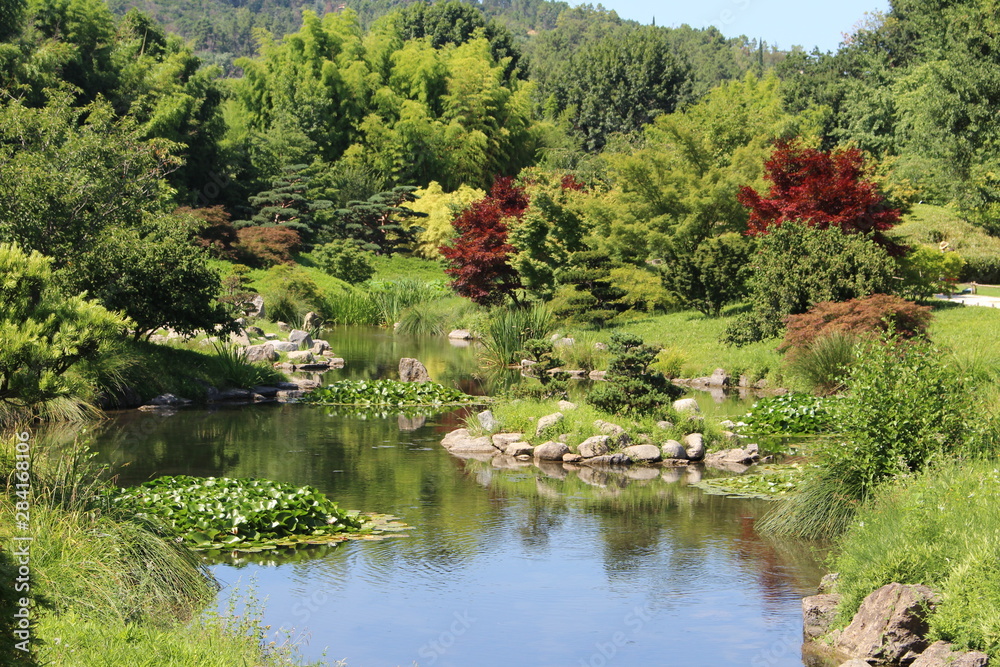 Fototapeta premium la bambouseraie