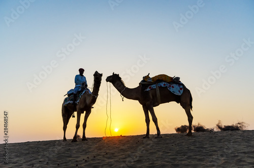 Silhouette of Indian man and camel during sunrise at Thar desert in Jaisalmer  Rajasthan  India.