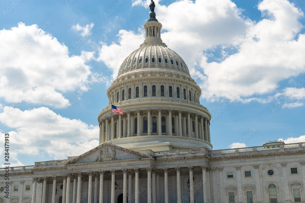 Fototapeta premium US Capitol building in Washington DC