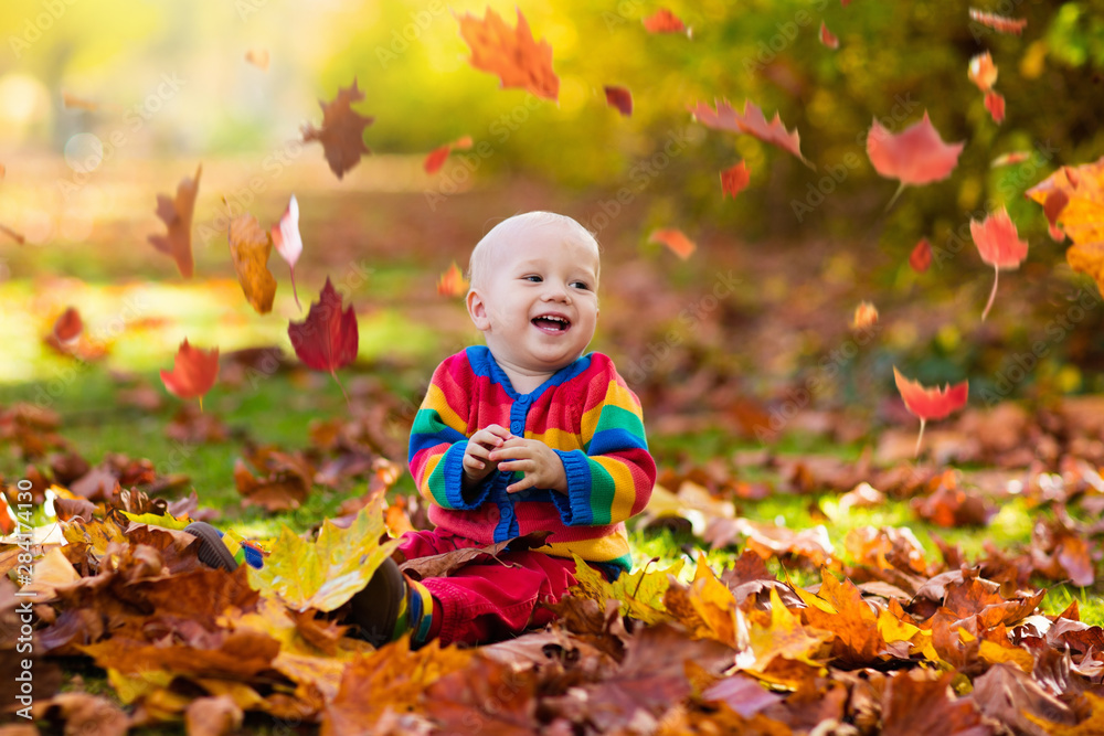 Child in fall park. Kid with autumn leaves. Child in fall park. Kid with autumn leaves.
