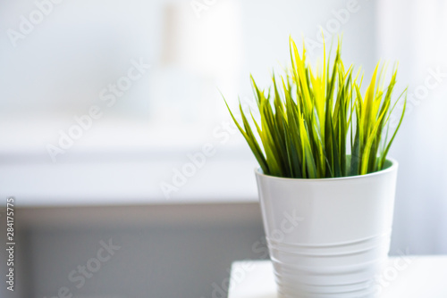 Fake flower in the white pot with very bright bokeh background. Contrast image. Green flower in white toned scandinavian house