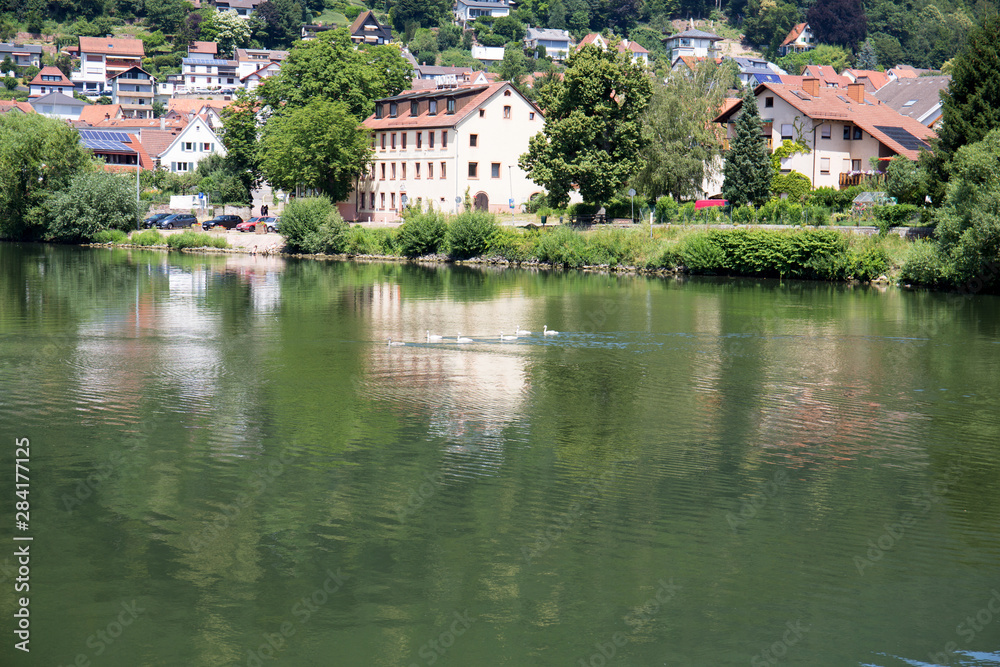 blick auf sich im neckar spiegelnde häuser in heidelberg deutschland fotografiert während einer bootstour auf dem neckar an einem sonnigen tag