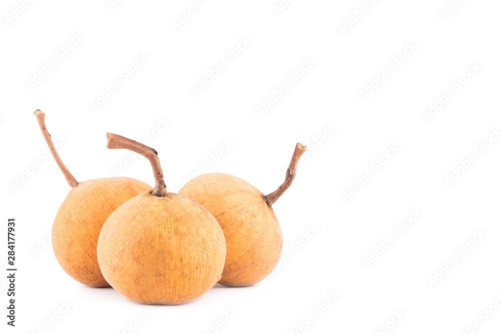 sandoricum santol is tropical fruit on white background planting agriculture food isolated sandoricum santol is tropical fruit on white background planting agriculture food isolated