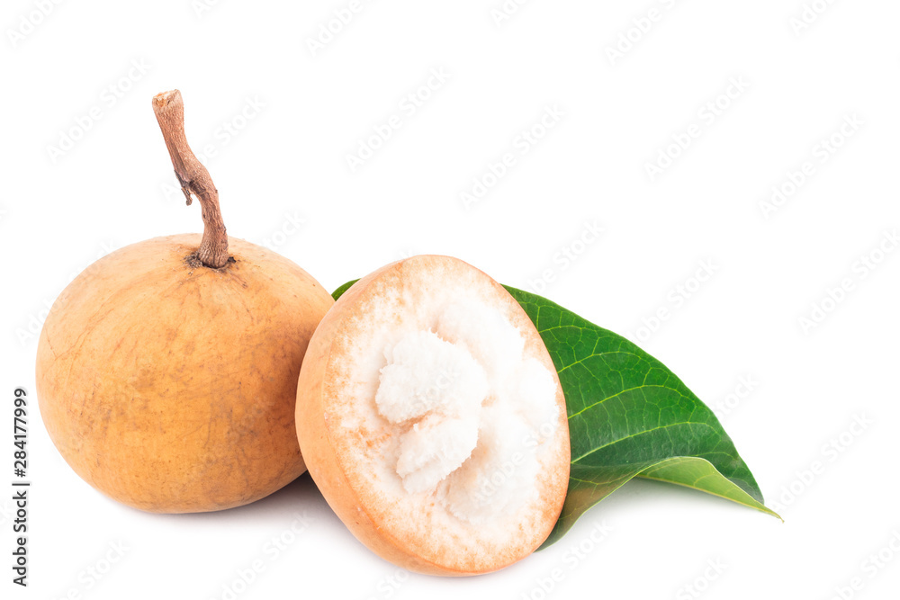half santol fruit and ripe santol and green santol leaf on white background planting agriculture food isolated half santol fruit and ripe santol and green santol leaf on white background planting agriculture food isolated