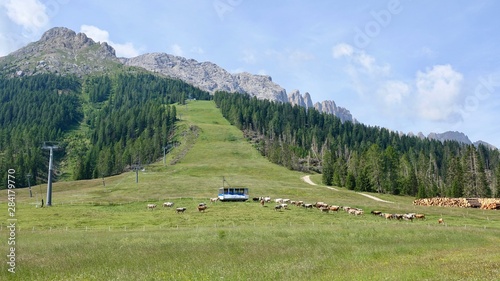 Blick zur Latemar Gebirgskette in den Dolomiten, Südtirol