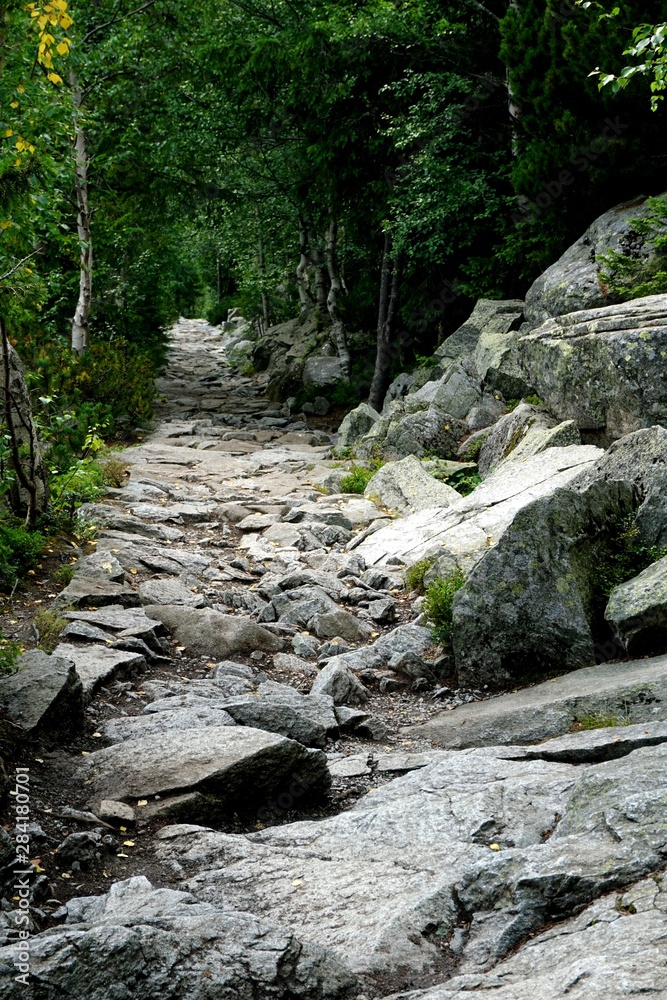 Mountain stone trail through forest in High Tatras. Mountain road in the forest. Journey through the Carpathian forests and mountains Mountain stone trail through forest in High Tatras. Mountain road in the forest. Journey through the Carpathian forests and mountains