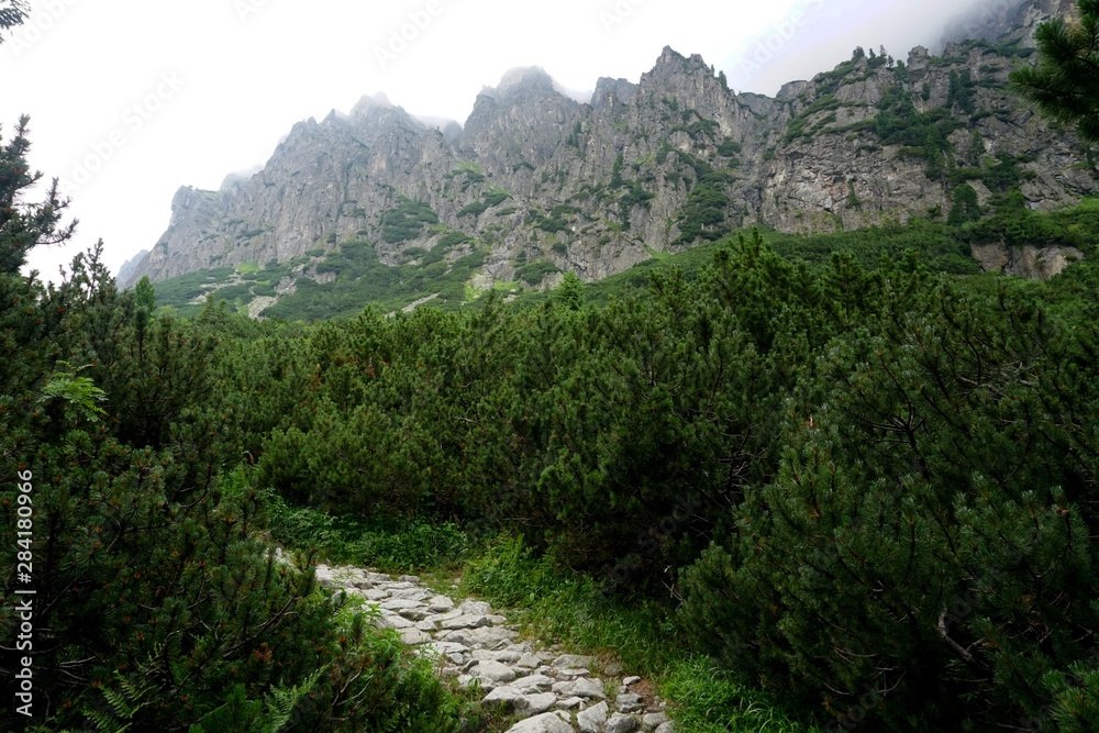 Fototapeta premium Mountain stone trail through forest in High Tatras. Mountain road in the forest. Journey through the Carpathian forests and mountains