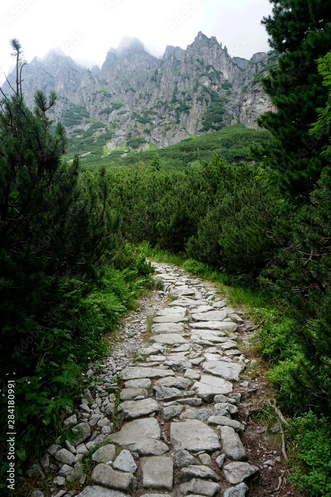 Mountain stone trail through forest in High Tatras. Mountain road in the forest. Journey through the Carpathian forests and mountains Mountain stone trail through forest in High Tatras. Mountain road in the forest. Journey through the Carpathian forests and mountains