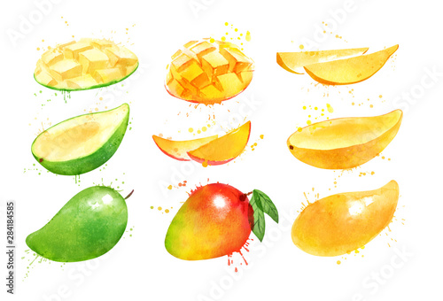 Watercolor collection of illustrations of Mango fruit