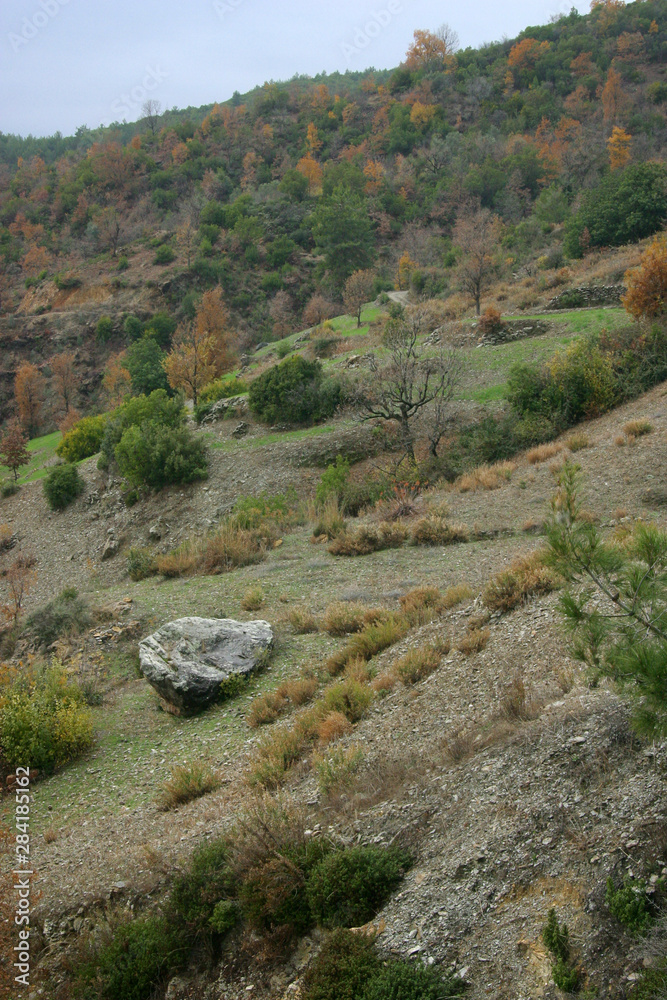 Countryside. Countrylife. Turkey Alanya