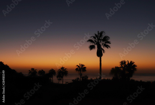 Colorful sunrise with palm trees and the ocean