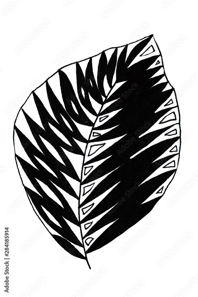Fototapeta Black and White leaf. Hand drawn illustration. Tattoo style