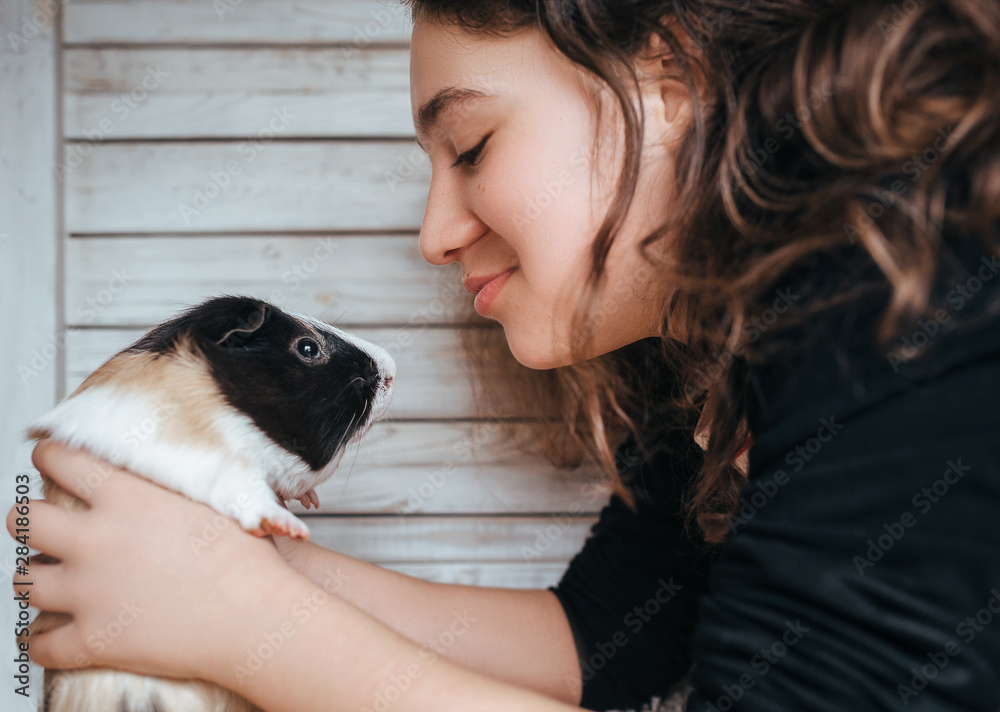 Cute girl looks at a guinea pig and rejoices at the meeting, hugging her.  Boss and pet. Love between man and animal. Happy shopping. A touching  photo. Copy space, poster, advertisement. Stock
