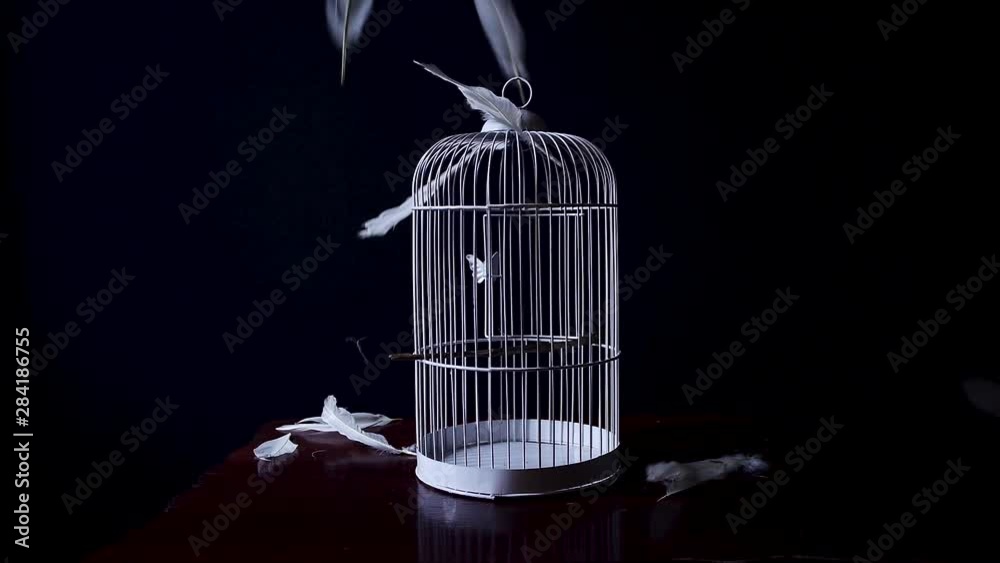 jaula de pajaros