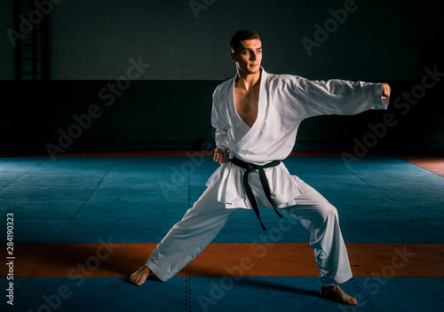 The one judokas fighter posing in gym