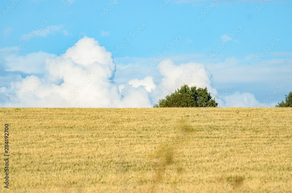 Large clouds on the horizon with a field