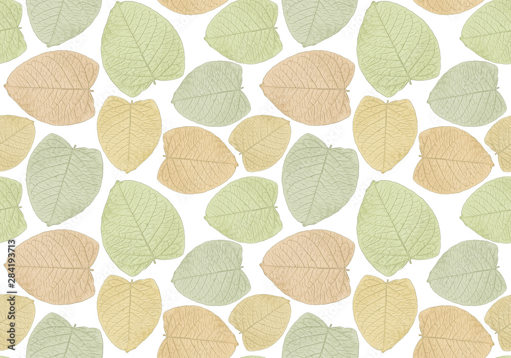 Fototapeta premium seamless pattern print of graphically stylized leaves