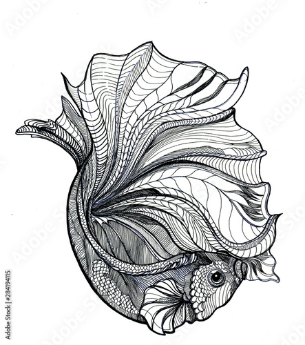 Wallpaper Mural fish, doodle illustration, hand draw Torontodigital.ca