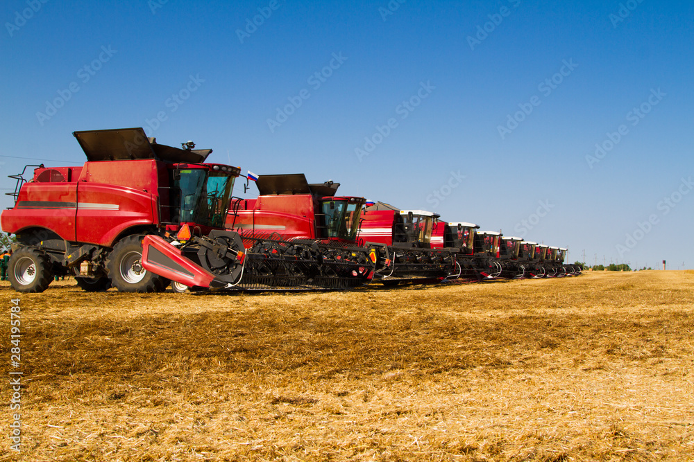 Fototapeta premium Combine harvesters ready for harvest