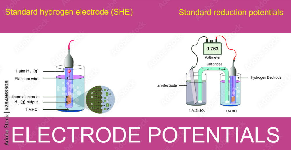 electrode potentials. standard hydrogen electrode. standard reduction electrode. chemistry