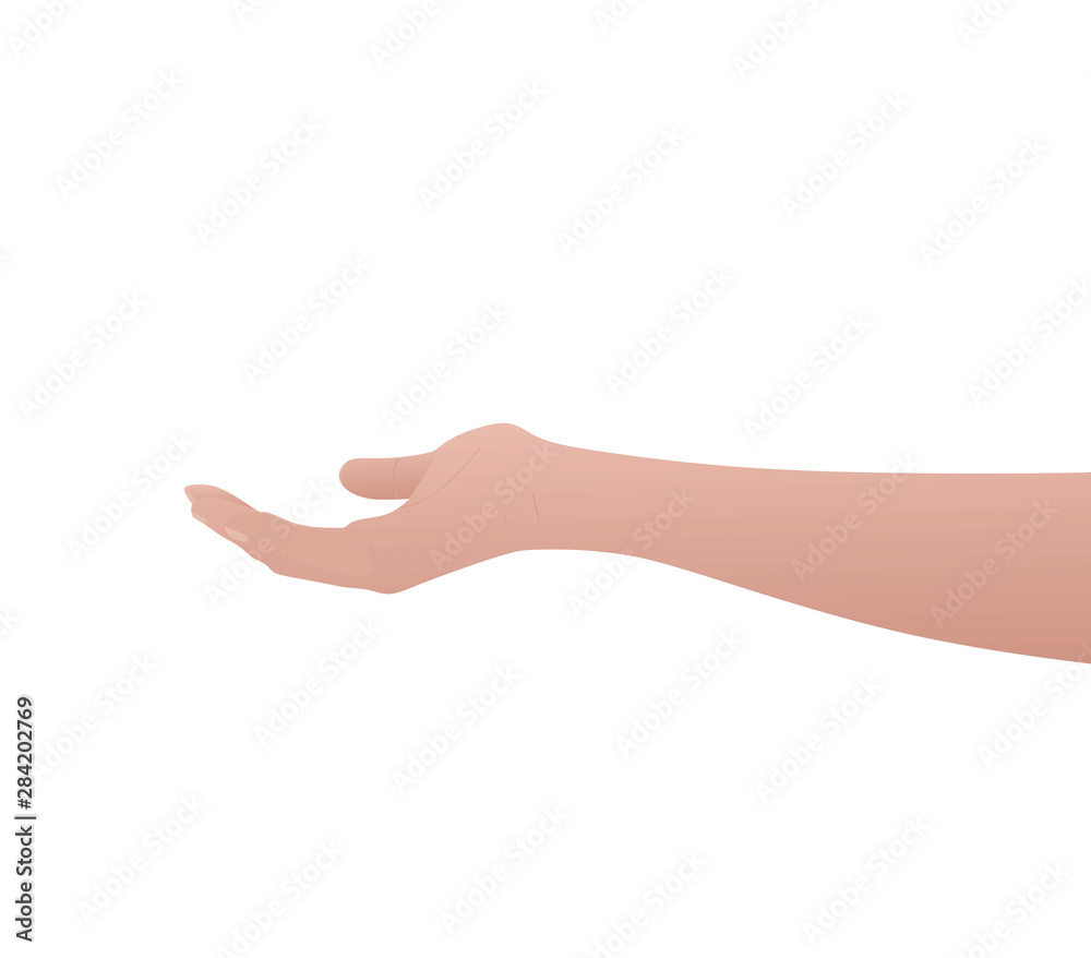 Open hand. arm. vector illustration Open hand. arm. vector illustration