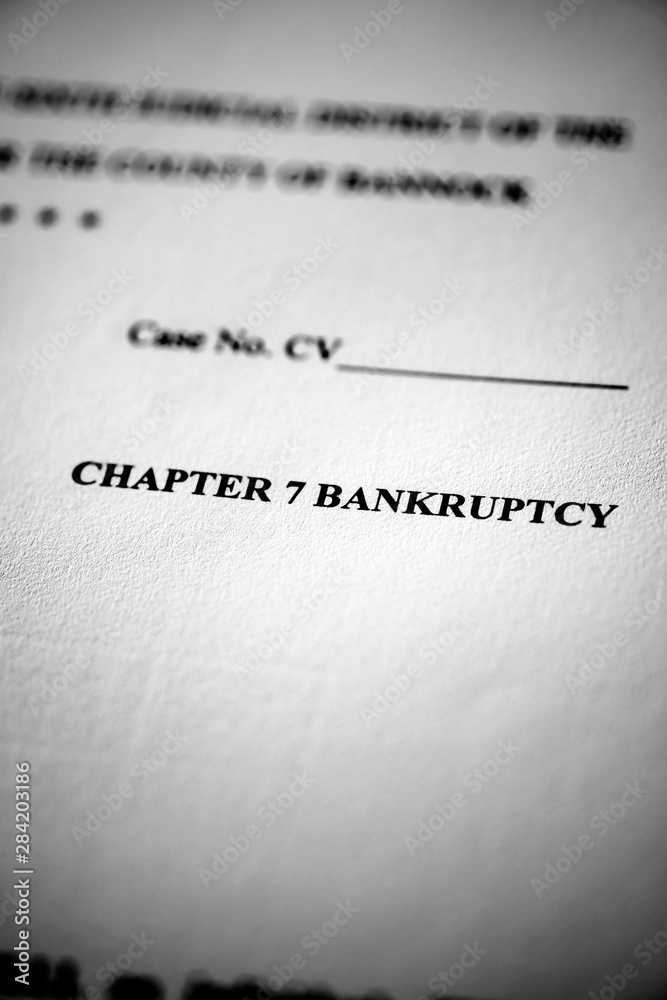 Legal Pleadings Court Papers Law Chapter 7 Bankruptcy Legal Pleadings Court Papers Law Chapter 7 Bankruptcy