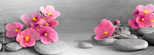 Composition with spa stones, pink flower on grey background.