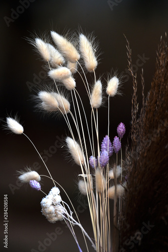 A group of reed flowers are yellowish white and some are large blue