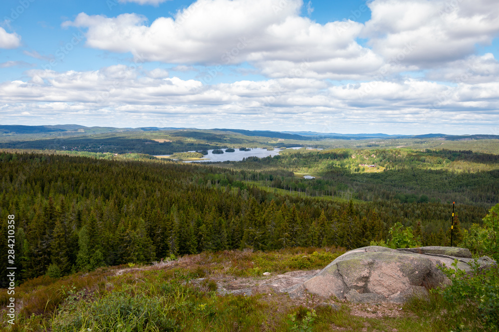 Swedish landscape with pine trees, hills and a lake, picture taken in region Dalarna, nearby Fredriksberg