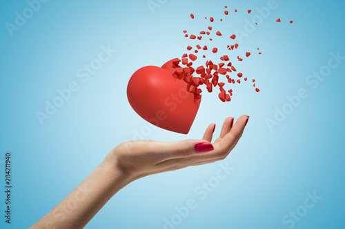 Obraz na plátně Close-up of woman's hand facing up and levitating red valentine heart that has started to disintegrate into pieces on light-blue background