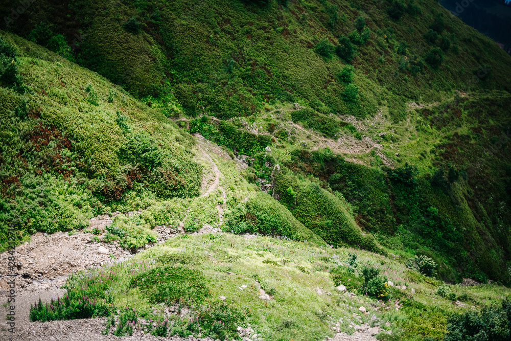 summer high in the mountains clouds forest