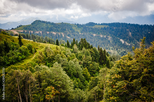 summer high in the mountains clouds forest