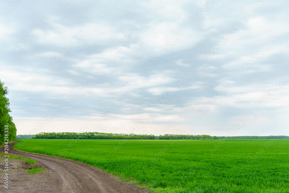 Rural road in a Russian village with a cloudy sky after a thunderstorm. Rural road in a Russian village with a cloudy sky after a thunderstorm.