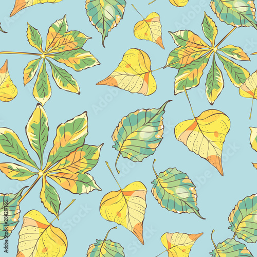 Seamless pattern with hand drawn autumn leaves on blue background