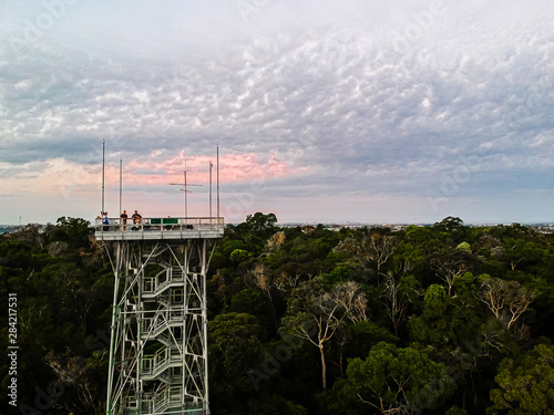 Sunrise at the forrest. MUSA, Manaus-AM