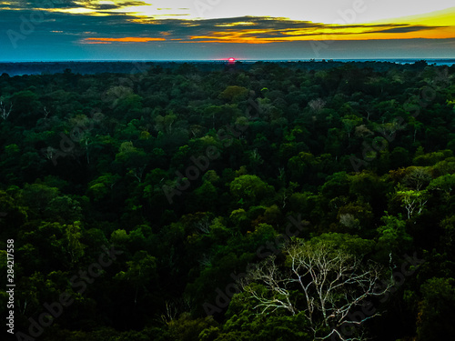 Sunrise at the forrest. MUSA, Manaus-AM