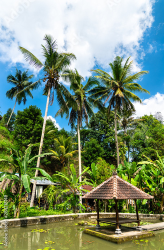 Garden at Goa Gajah temple in Bali, Indonesia